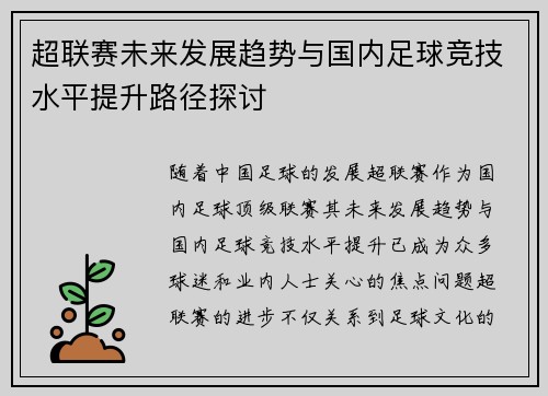 超联赛未来发展趋势与国内足球竞技水平提升路径探讨