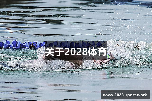 关于2028体育